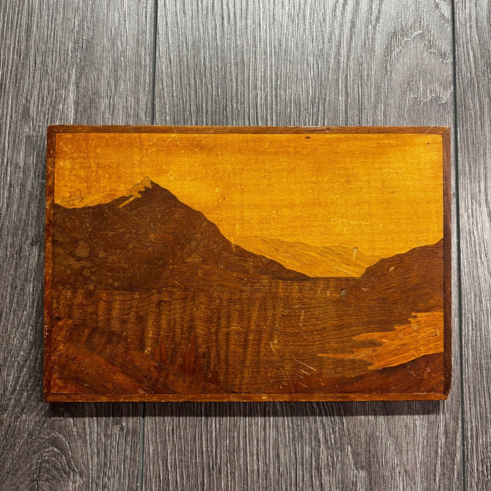 Vintage Marquetry Wood Inlay Art Helvellyn and Thirlmere Lake District Ashworth